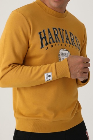Harvard Koyu Hardal Erkek Sweatshirt Hardal