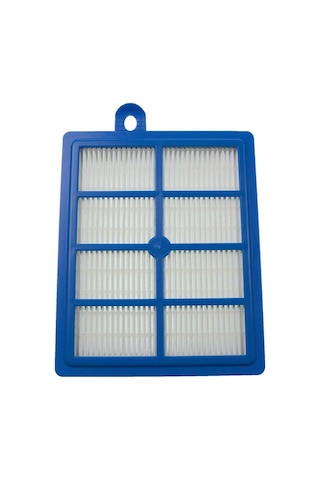 Electrolux Ultraflex Eufc8alrgy Hepa Filtre