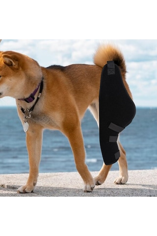 Homyl Köpek Dizlik Pet Dirsek Koruyucu Ped Burkulma Sol-arka