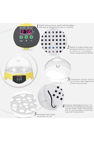 Diğer Yumurta Yumurta Yumurta Şeffaf Mini Makinesi Makinesi Makinesi Maki Kuluçka Kuluçka Kuluçka Kuluçka Dijital Kx