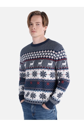 Colin's Colins Regular Fit Bisiklet Yaka Çok Renkli Erkek Kazak Cl1065736 Çok Renkli