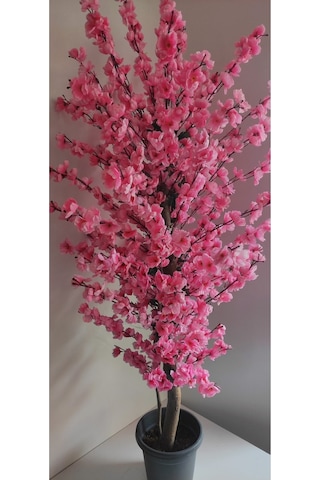 Rüzgar Çiçekcilik 145 Cm Plastik Saksıda Pembe Bahardali Pembe