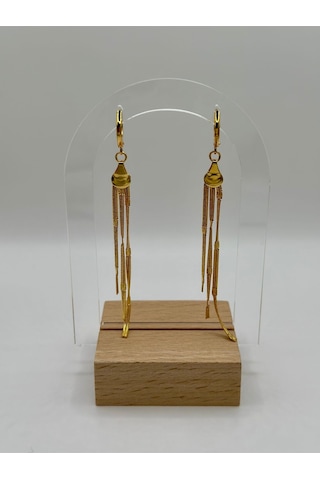 Arnes Jewelry Çelik Sallantılı İtalyan Ezme Küpe Gold
