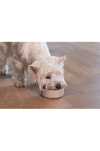 Beeztees Dbl Köpek Mama Su Kabı, Bambu, Bej, 12cm, 300ml