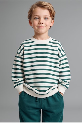 Defacto Oversize Bisiklet Yaka Çizgili Sweatshirt Erkek Bebek I4401a526wngn1116 Yeşil-gn1116