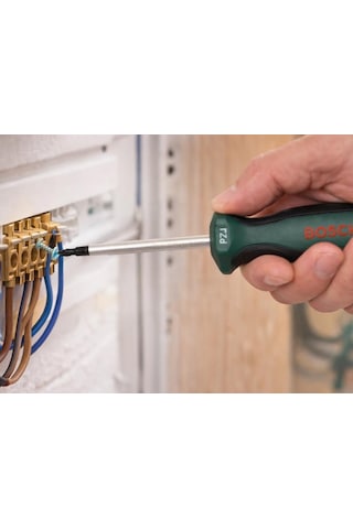 Bosch Pz1 X 100 Mm Yıldız Uçlu Tornavida 1600a03ds7