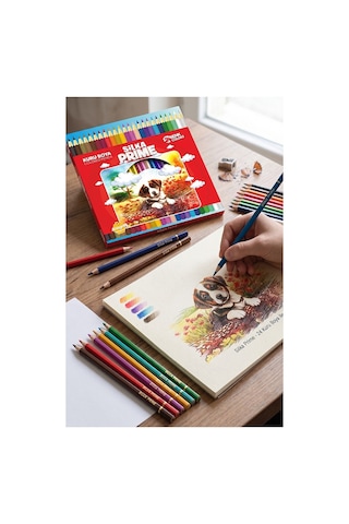 24 Lü Kuru Boya Kalemi Karton Kutu 1 Paket Silka 24 Renk Kuruboya Tam Boy Canlı Renkli Boya Kalem Okul Öğrenci Çok Renkli