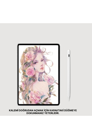 Eğim Sensörlü Dijital Kalem 1,0 Mm Hassas Uçlu Usb-c Şarjlı İpad Uyumlu