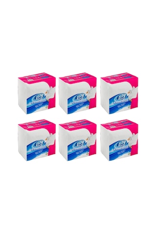 Lily Tombul Peçete 100 Lü X 6 Adet