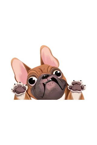 1 Adet Köpek Araba Sticker Komik Yüz Büyük Kulaklar Ve Gözler Pug Köpek Sticker Araba Arka Pencere Duvar Kapı Dizüstü Bilgisayar 8.7 6.3in Sarı