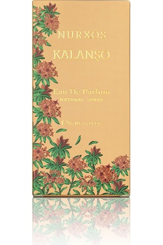 Nurxos 9708 Kalanşo EDP Erkek Parfümü 8681124697080 65 ML