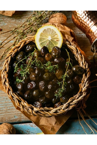 2 Adet Gemlik Trilye Zeytin Fidanı Tüplü 2 Yaş