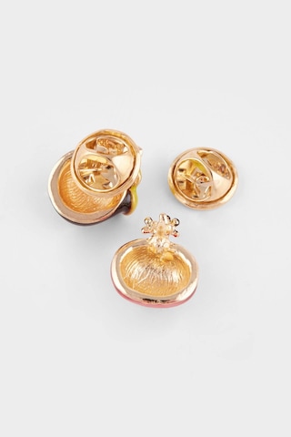 Defacto Kadın 3lü Meyve Figürlü Broş F9193axnskr1 Çok Renkli