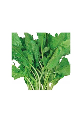 Tere Tohumu 1 Paket 25 GR Geniş Yaprak Tere Tohumu