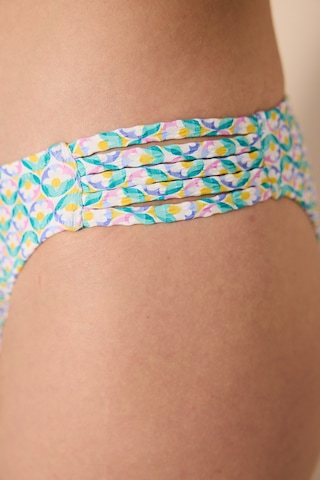 Penti Bloom Chic Dokulu Çok Renkli Bikini Altı Plvvrbz924ıy-mıx Çok Renkli