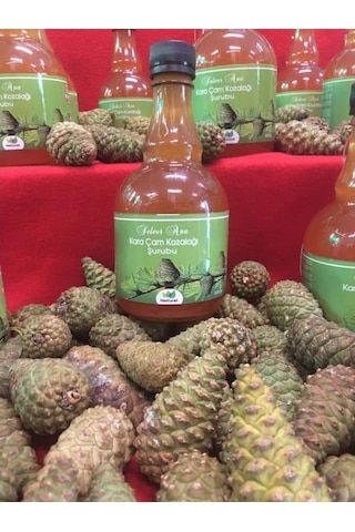Çam Kozalağı Şurubu 500 Ml X 2 Şişe Katkısız Şekersiz