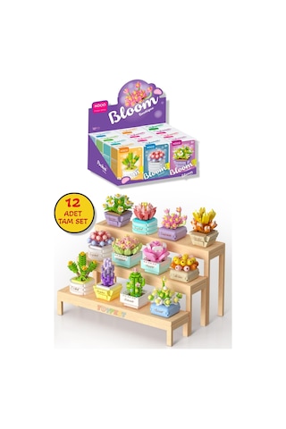 Koco Saksı Çiçekleri Sukulent Serisi 3d Puzzle Koleksiyon Tam Set - 12 Adet