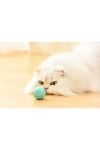 River World Köpekler İçin Akıllı İnteraktif Oyuncak