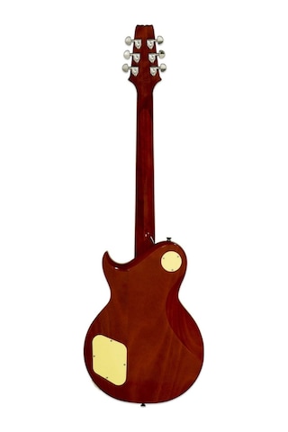 Aria Pro Iı Pe350pgagld Elektro Gitar Hh Rw