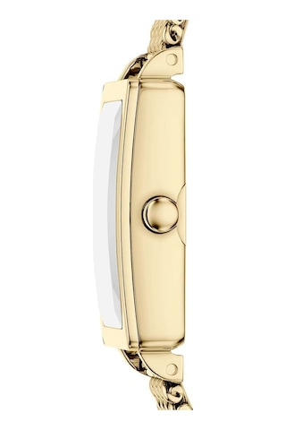 Skagen Skw3178 Kadın Kol Saati Altın