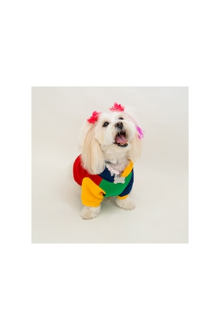 Premium Kapüşonlu Kedi Ve Köpek Sweatshirt Renkli Şık Pet Elbisesi