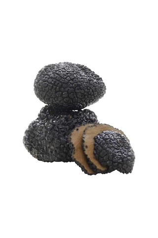 Siyah Trüf Mantarı Tuber Magnatum Mantar Tohumu 200 Gr