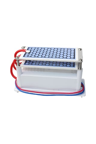 Taşınabilir Seramik Ozon Jeneratörü İki Yapraklı Hava Temizleme Cihazı Sterilizasyon Aktif Oksijen Arıtma Cihazı 220v 10g