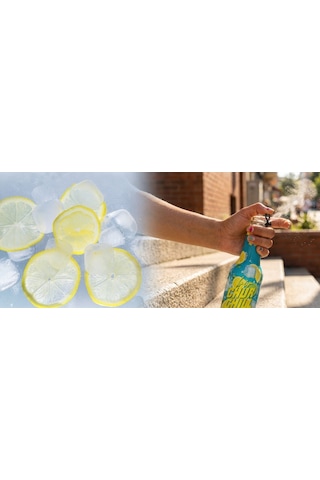 Bir Churchill Efsane Lezzet Limon Aromalı Doğal Mineralli Gazlı İçecek - Tuzlu - 24 Adet