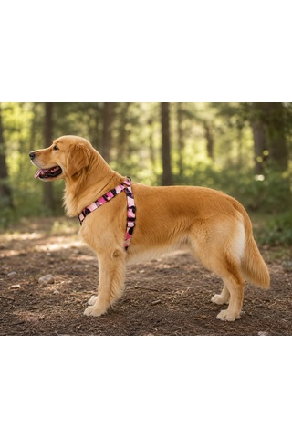 Ally Paws Pembe Köpek Göğüs Tasması Göğüs: 48 Cm X 70 Cm Çok Renkli