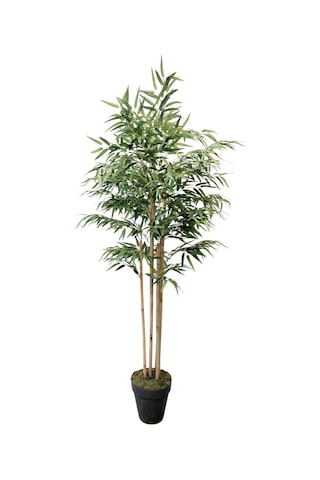 Yapay Ağaç Lüks Bambu Salon Bitkisi 6 Gövdeli 180 Cm Çok Renkli