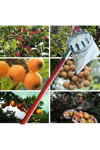 Veta Meyve Toplama Aparatı ve Sepeti Sapsız