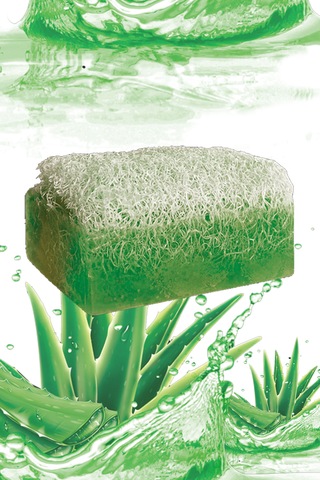 Dev Banyo Lifi Doğal Aloevera Sabunlu Set