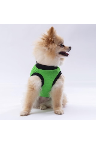 Pawstar Yeşil Travel Kedi Köpek Tişörtü Kıyafeti