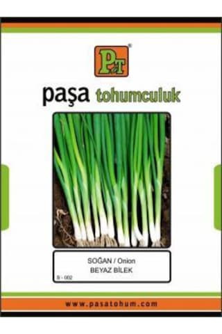 Soğan - Beyaz Bilek - 10 Gr Taze Soğan 8