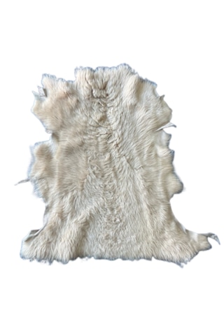 Gerçek Uzun Tüylü Koyun Postu Pudra 70x50 Cm