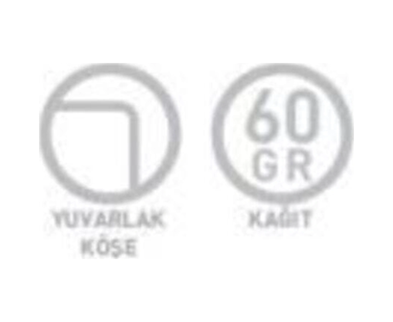 Pastoral Spiralli Pp Kapak Defter 17x24cm 72 Yaprak Kareli 4 Lü Paket 3252