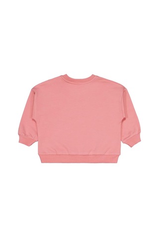 Civil Baby Ayıcık Baskılı 3'lü Set 6-18 Ay Sweatshirt - Standart