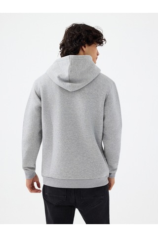 Regular Fit Erkek Sweatshirt Gri