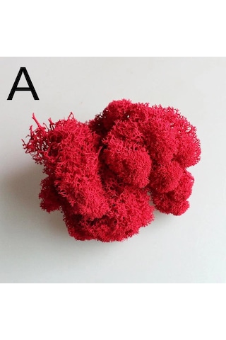 Reindeer Moss Kırmızı Şoklanmış Norveç Yosunu 30gr