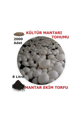 2000 Adet Kültür Mantarı Tohumu Ve 8 Litre Kültür Mantarı Ekim Torfu