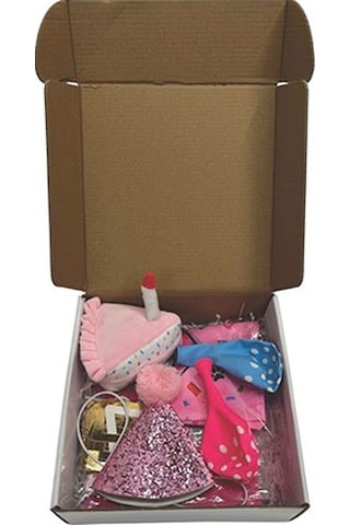 M-pets Party Time Dişi Köpekler İçin Doğum Günü Seti 20x20x7 Cm 244-50102.01