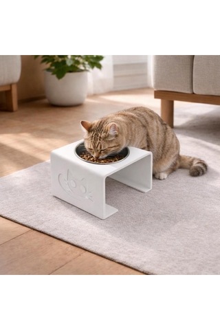 Kişiye Özel İsimli Kedi Mama Ve Su Kabı Standı Dekoratif Yükseltilmiş Kedi Beslenme Kabı