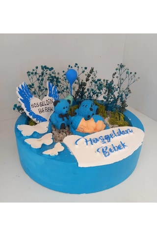 Hoşgeldin Erkek Bebek 2 Teraryum Teraryum