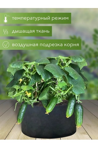 Umnyj Sad Bitkiler Ve Fide İçin 235 Litre Tekstil Saksı 192225365