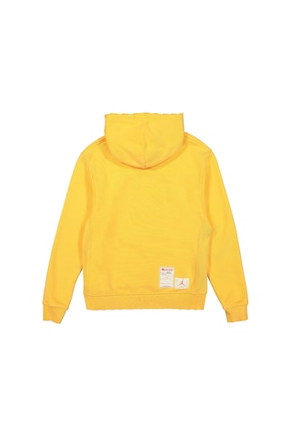 Jordan Polar Kapüşonlu Sweatshirt Dj9524-771 Pasha Giyim Çok Renkli