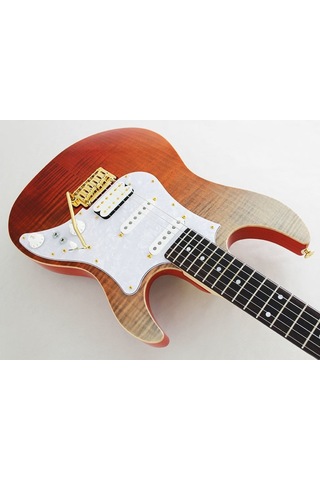 Fujigen Odyssey Elektro Gitar Eosfmrrkg