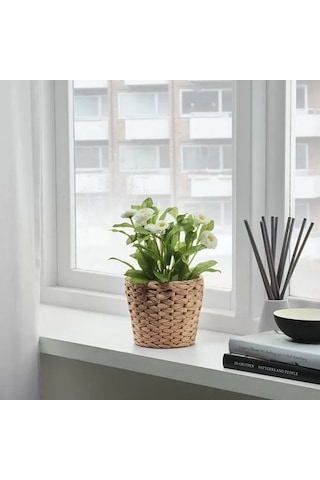Sumuhome Frıdfull Rattan Saksı Hasır Su Sümbülü 12 Cm