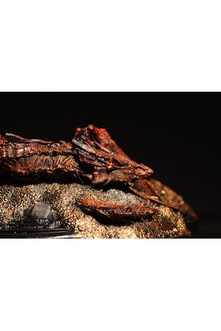 Lord Of The Rings - Hobbit Smaug Büst