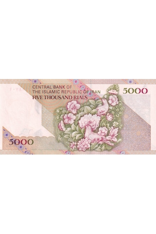 Iran 5.000 Riyal 1993 P145F Çil Eski Yabancı Kağıt Para