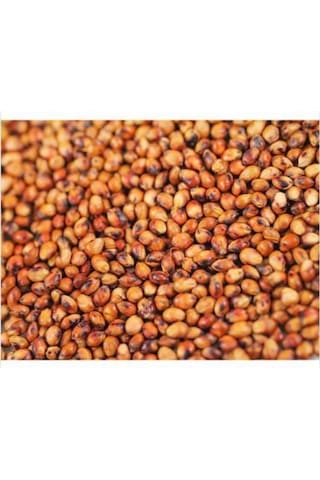 Sorgum Sudan Otu Tohum 5 Kg